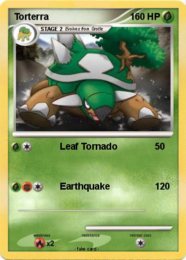 Pokemon Torterra