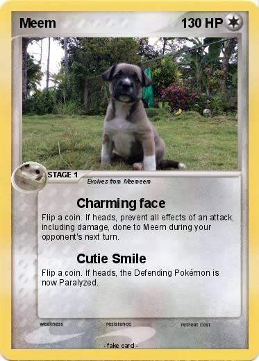 Pokemon Meem