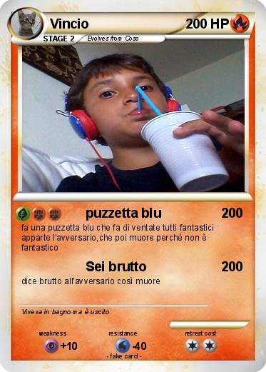 Pokemon Vincio