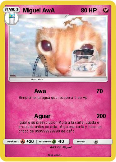 Pokemon Miguel AwA