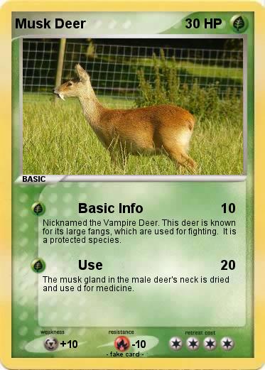 Pokemon Musk Deer