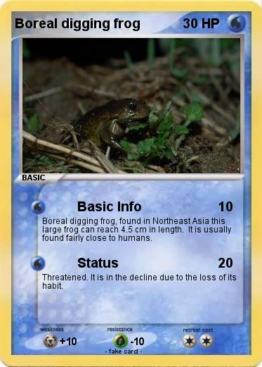 Pokemon Boreal digging frog