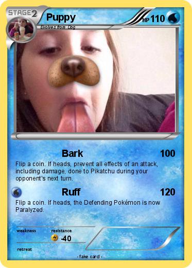 Pokemon Puppy