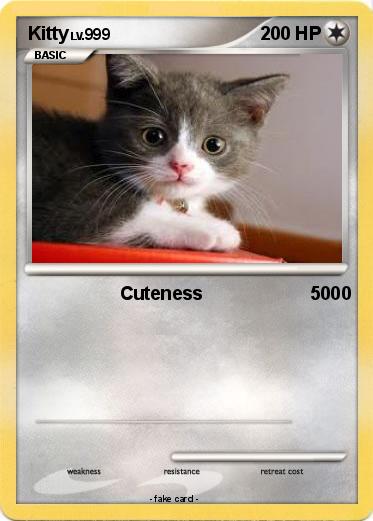 Pokemon Kitty