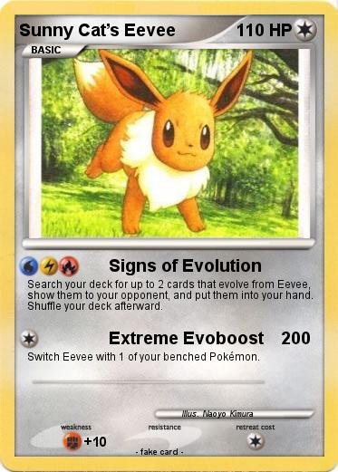 Pokemon Sunny Cat’s Eevee