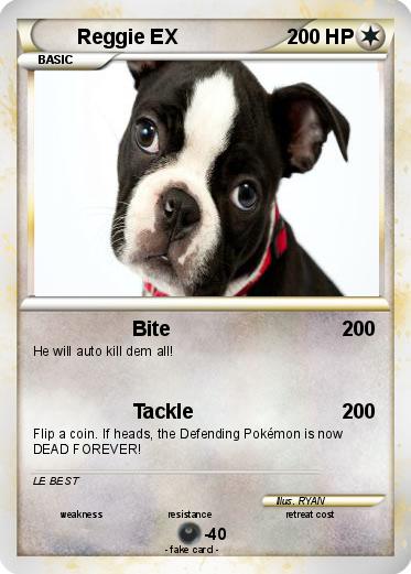 Pokemon Reggie EX