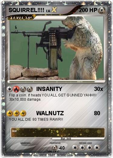 Pokemon SQUIRREL!!!!