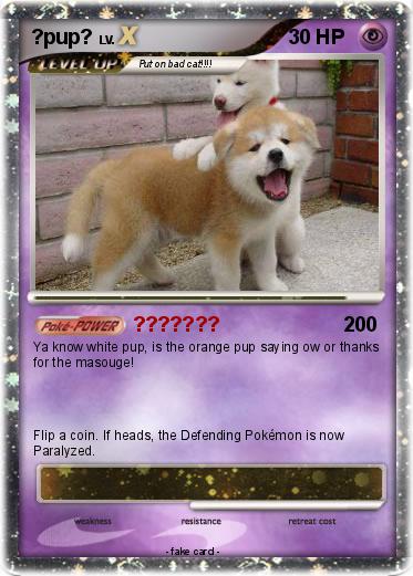 Pokemon ?pup?