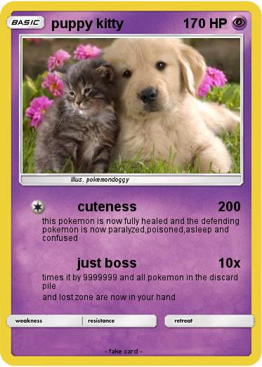 Pokemon puppy kitty