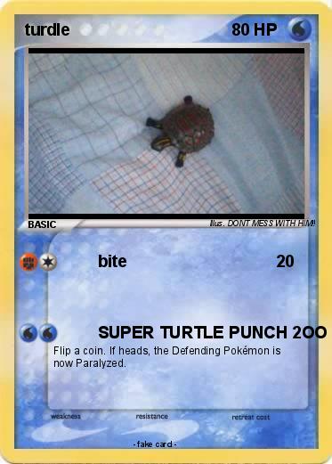 Pokemon turdle