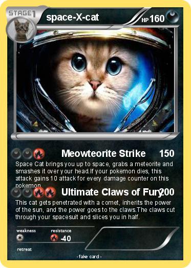 Pokemon space-X-cat