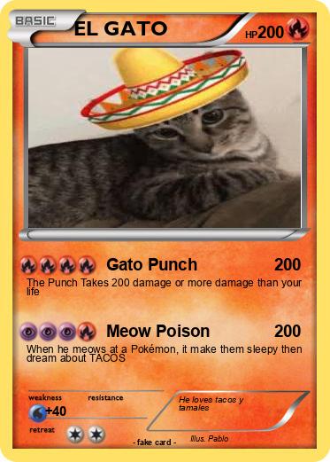Pokemon EL GATO