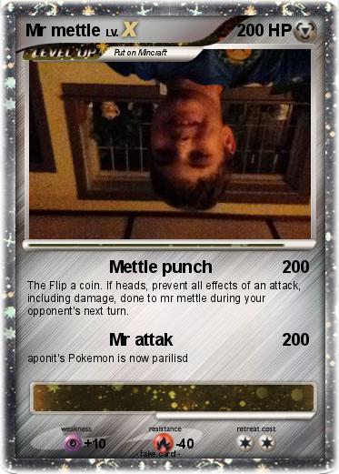 Pokemon Mr mettle