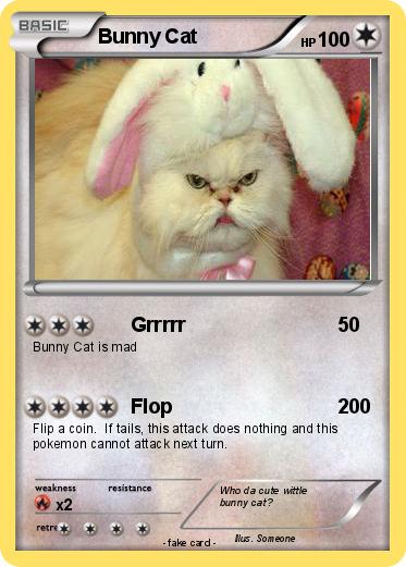 Pokemon Bunny Cat