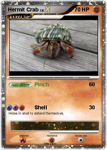 Pokemon Hermit Crab