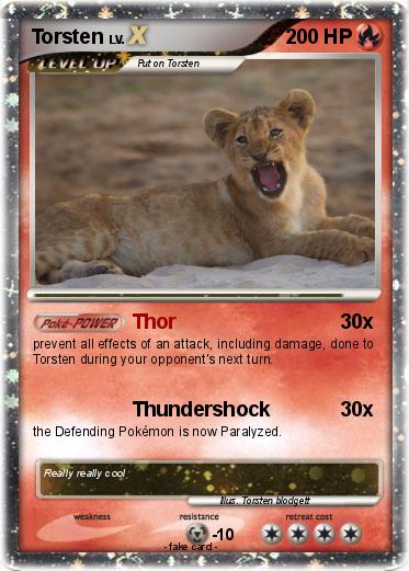Pokemon Torsten