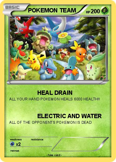 Pokemon POKEMON TEAM