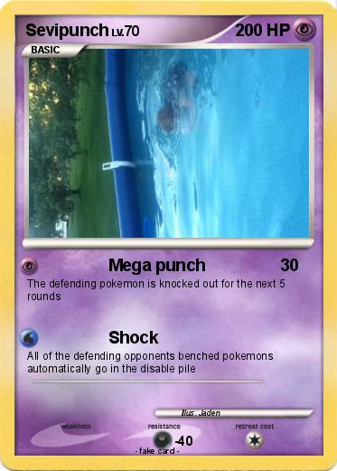 Pokemon Sevipunch