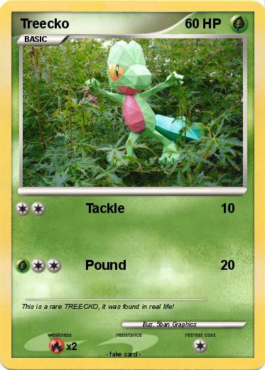 Pokemon Treecko