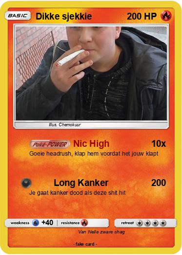 Pokemon Dikke sjekkie