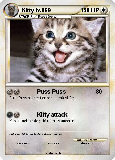Pokemon Kitty lv.999