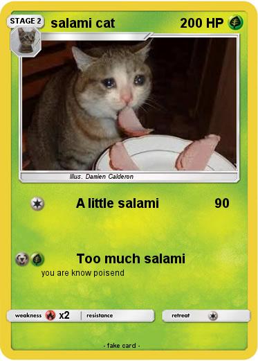 Pokemon salami cat