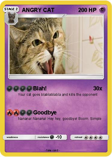 Pokemon ANGRY CAT