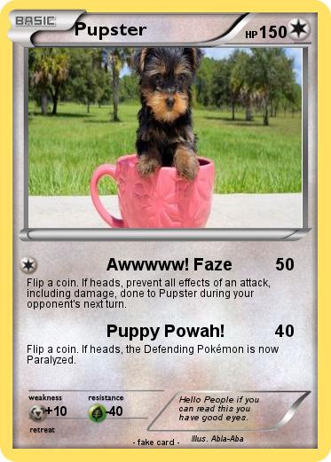 Pokemon Pupster