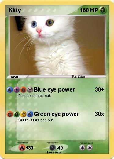 Pokemon Kitty