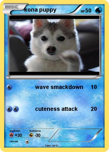 Pokemon kona puppy