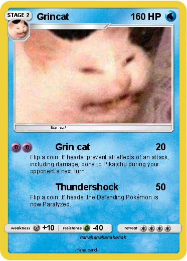 Pokemon Grincat
