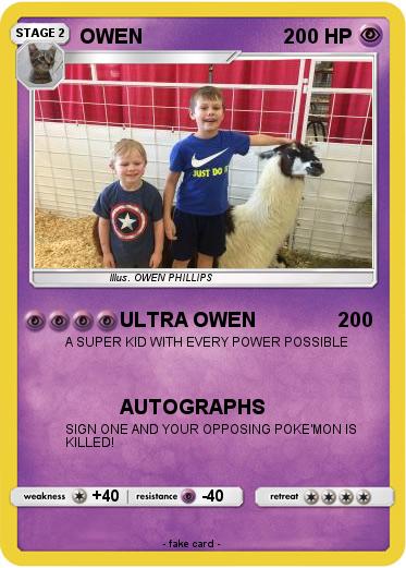 Pokemon OWEN
