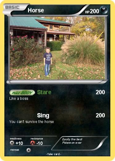 Pokemon Horse