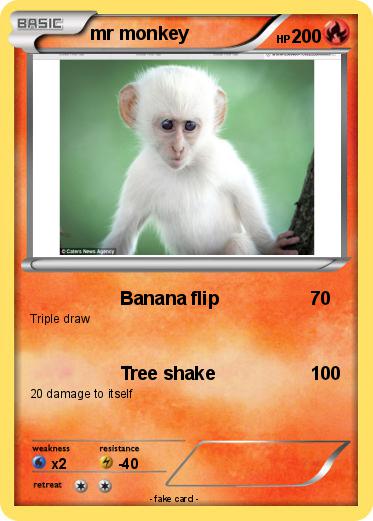 Pokemon mr monkey