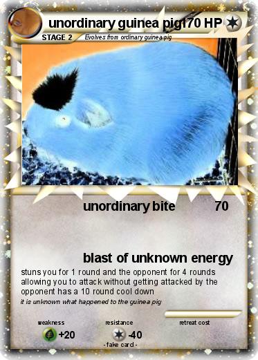 Pokemon unordinary guinea pig