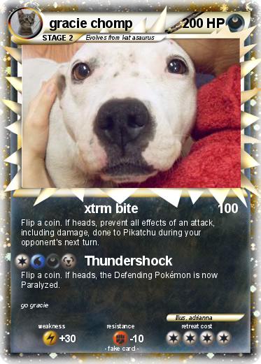 Pokemon gracie chomp
