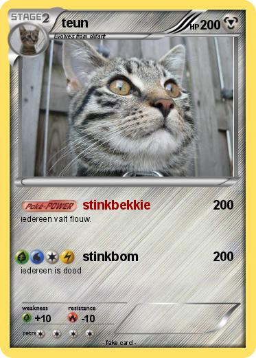 Pokemon teun