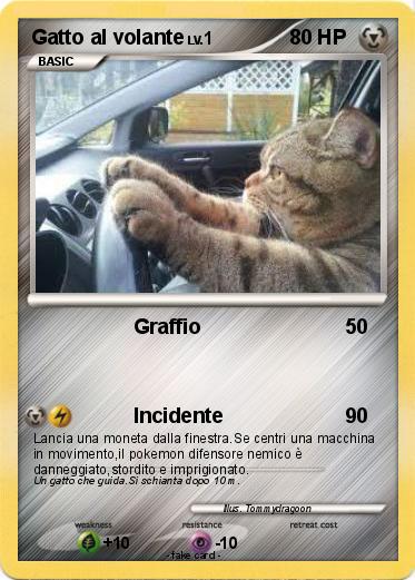 Pokemon Gatto al volante