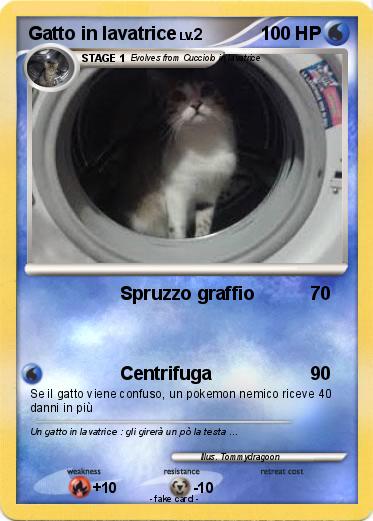 Pokemon Gatto in lavatrice