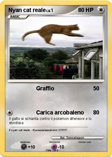 Pokemon Nyan cat reale