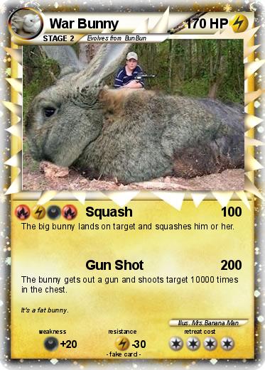 Pokemon War Bunny