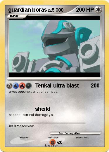 Pokemon guardian boras