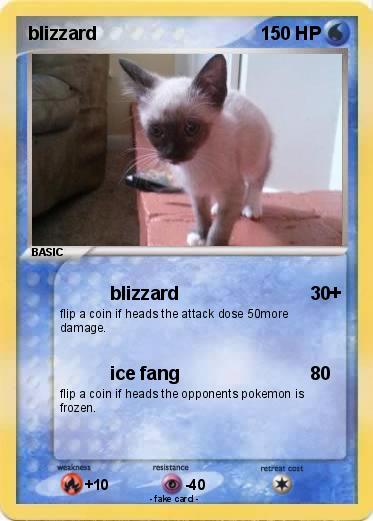 Pokemon blizzard