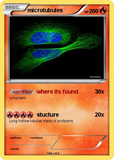 Pokemon microtubules