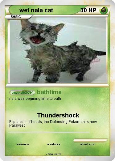 Pokemon wet nala cat
