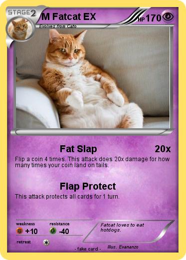 Pokemon M Fatcat EX