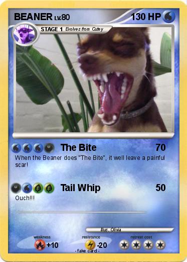 Pokemon BEANER