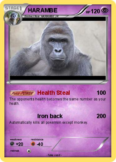 Pokemon HARAMBE