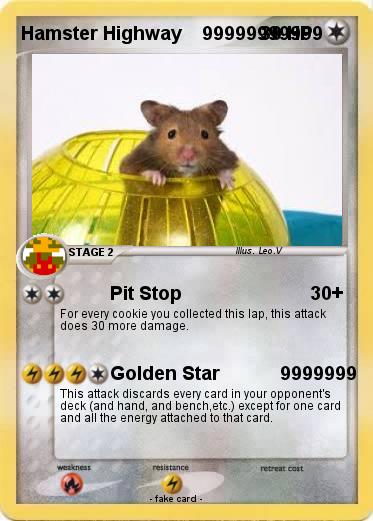 Pokemon Hamster Highway    99999999999