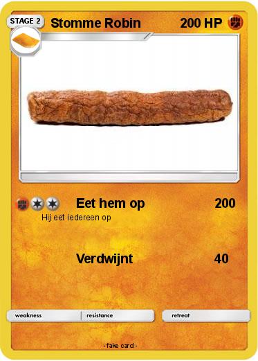 Pokemon Stomme Robin